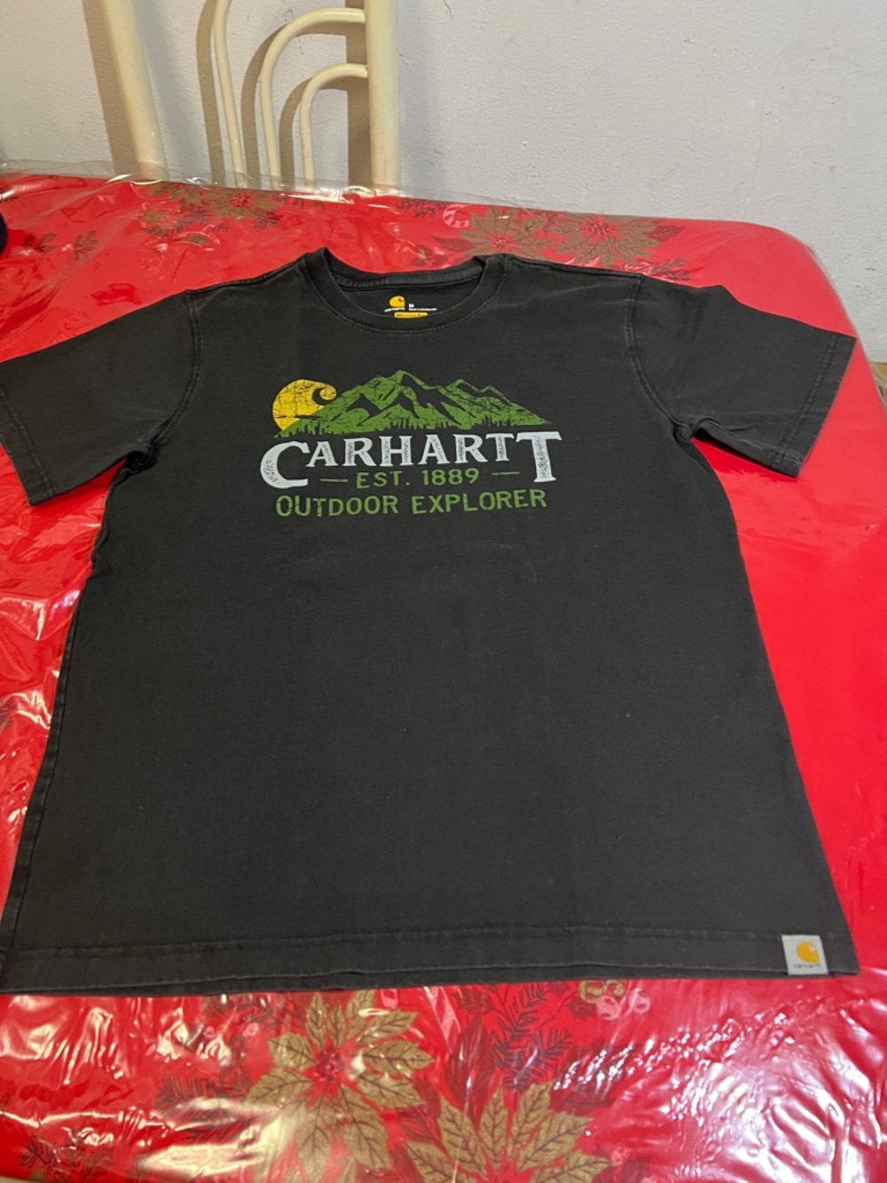 Carhartt Outdoor Explorer Graphic T-Shirt Relaxed Fit M Great Condition